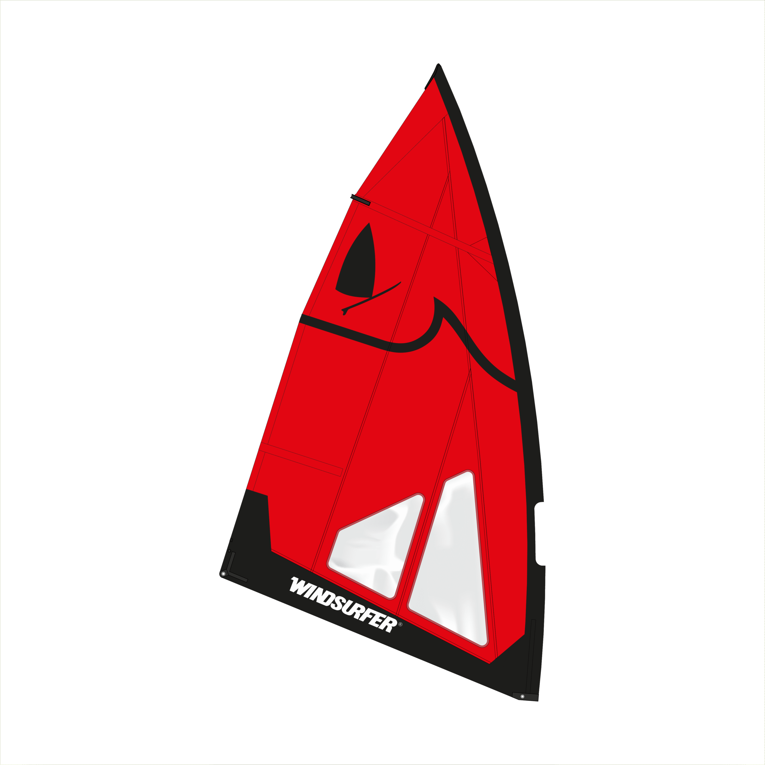Aparejo Completo Windsurfer LT
